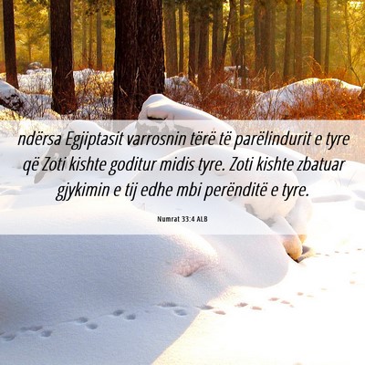Picture 06 - Numrat 33:4 ALB - ndërsa Egjiptasit varrosnin tërë të - Bible Verse Picture