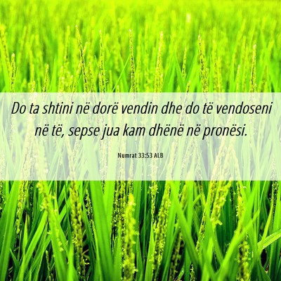 Picture 06 - Numrat 33:53 ALB - Do ta shtini në dorë vendin dhe do të - Bible Verse Picture