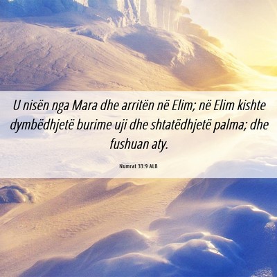 Picture 06 - Numrat 33:9 ALB - U nisën nga Mara dhe arritën në Elim; në Elim - Bible Verse Picture