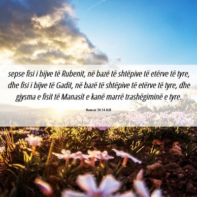 Picture 06 - Numrat 34:14 ALB - sepse fisi i bijve të Rubenit, në bazë të - Bible Verse Picture