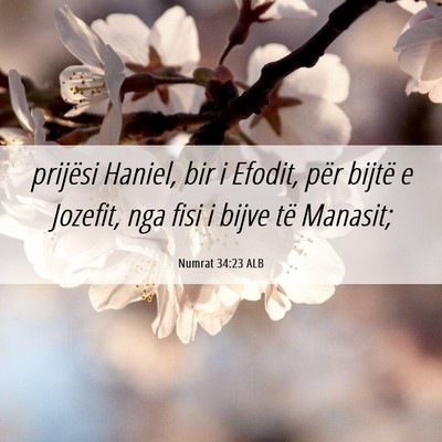 Picture 06 - Numrat 34:23 ALB - prijësi Haniel, bir i Efodit, për bijtë e - Bible Verse Picture