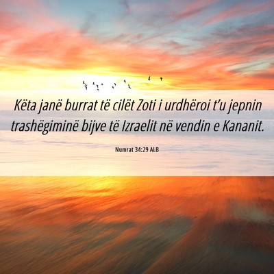 Picture 06 - Numrat 34:29 ALB - Këta janë burrat të cilët Zoti i urdhëroi - Bible Verse Picture