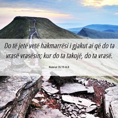 Picture 06 - Numrat 35:19 ALB - Do të jetë vetë hakmarrësi i gjakut ai që do - Bible Verse Picture