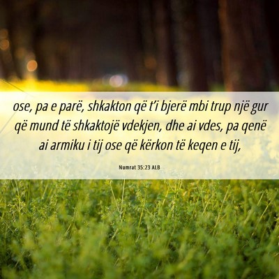 Picture 06 - Numrat 35:23 ALB - ose, pa e parë, shkakton që t’i bjerë mbi - Bible Verse Picture
