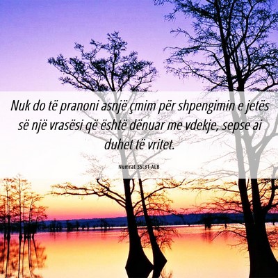 Picture 06 - Numrat 35:31 ALB - Nuk do të pranoni asnjë çmim për shpengimin e - Bible Verse Picture