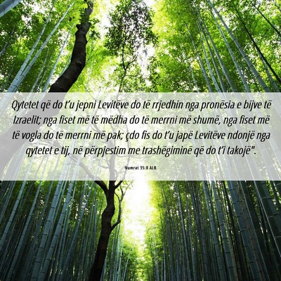 Picture 06 - Numrat 35:8 ALB - Qytetet që do t’u jepni Levitëve do të - Bible Verse Picture