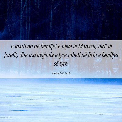 Picture 06 - Numrat 36:12 ALB - u martuan në familjet e bijve të Manasit, birit - Bible Verse Picture