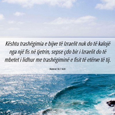 Picture 06 - Numrat 36:7 ALB - Kështu trashëgimia e bijve të Izraelit nuk do - Bible Verse Picture