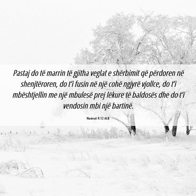 Picture 06 - Numrat 4:12 ALB - Pastaj do të marrin të gjitha veglat e - Bible Verse Picture