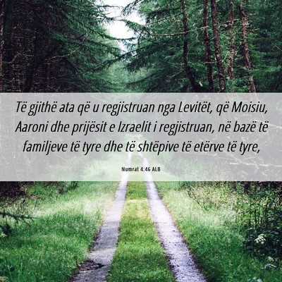 Picture 06 - Numrat 4:46 ALB - Të gjithë ata që u regjistruan nga Levitët, - Bible Verse Picture