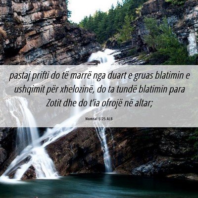 Picture 06 - Numrat 5:25 ALB - pastaj prifti do të marrë nga duart e gruas - Bible Verse Picture