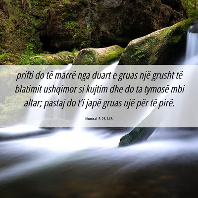 Picture 06 - Numrat 5:26 ALB - prifti do të marrë nga duart e gruas një - Bible Verse Picture