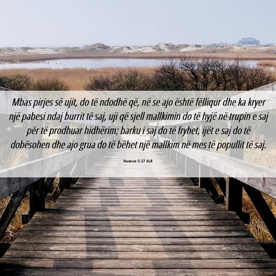 Picture 06 - Numrat 5:27 ALB - Mbas pirjes së ujit, do të ndodhë që, në se - Bible Verse Picture