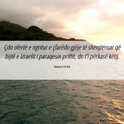 Picture 06 - Numrat 5:9 ALB - Çdo ofertë e ngritur e çfarëdo gjëje të - Bible Verse Picture