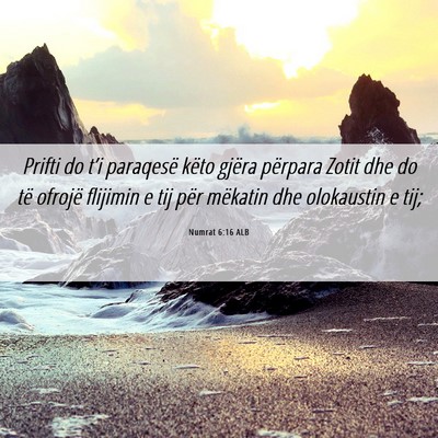 Picture 06 - Numrat 6:16 ALB - Prifti do t’i paraqesë këto gjëra përpara - Bible Verse Picture