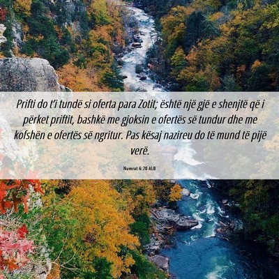 Picture 06 - Numrat 6:20 ALB - Prifti do t’i tundë si oferta para Zotit; - Bible Verse Picture