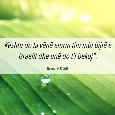 Picture 06 - Numrat 6:27 ALB - Kështu do ta vënë emrin tim mbi bijtë e - Bible Verse Picture