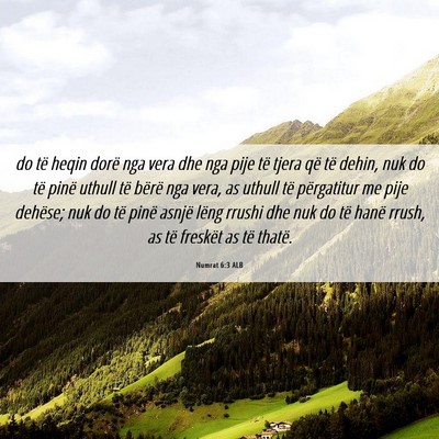 Picture 06 - Numrat 6:3 ALB - do të heqin dorë nga vera dhe nga pije të - Bible Verse Picture