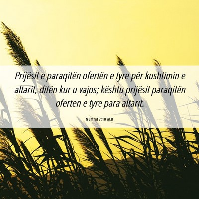 Picture 06 - Numrat 7:10 ALB - Prijësit e paraqitën ofertën e tyre për - Bible Verse Picture