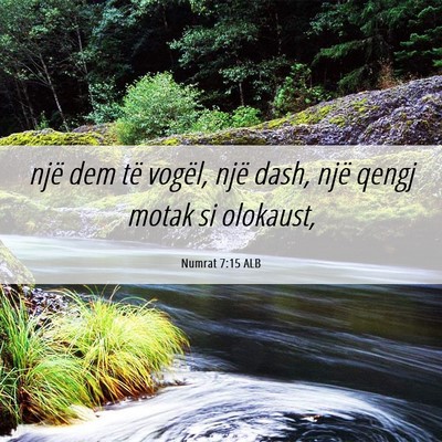 Picture 06 - Numrat 7:15 ALB - një dem të vogël, një dash, një qengj motak - Bible Verse Picture