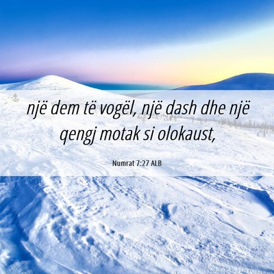 Picture 06 - Numrat 7:27 ALB - një dem të vogël, një dash dhe një qengj - Bible Verse Picture