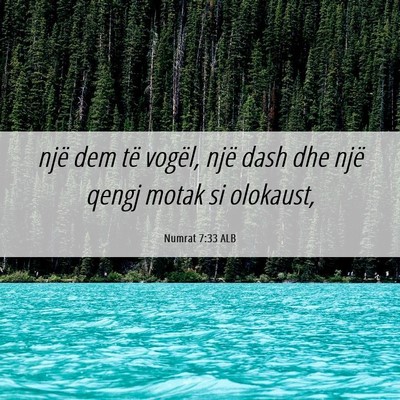 Picture 06 - Numrat 7:33 ALB - një dem të vogël, një dash dhe një qengj - Bible Verse Picture