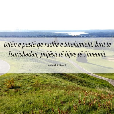 Picture 06 - Numrat 7:36 ALB - Ditën e pestë qe radha e Shelumielit, birit të - Bible Verse Picture
