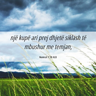 Picture 06 - Numrat 7:38 ALB - një kupë ari prej dhjetë siklash të mbushur - Bible Verse Picture