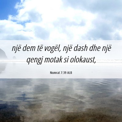 Picture 06 - Numrat 7:39 ALB - një dem të vogël, një dash dhe një qengj - Bible Verse Picture