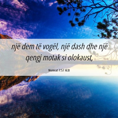 Picture 06 - Numrat 7:57 ALB - një dem të vogël, një dash dhe një qengj - Bible Verse Picture