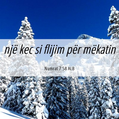Picture 06 - Numrat 7:58 ALB - një kec si flijim për - Bible Verse Picture