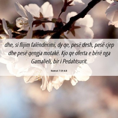 Picture 06 - Numrat 7:59 ALB - dhe, si flijim falënderimi, dy qe, pesë desh, - Bible Verse Picture