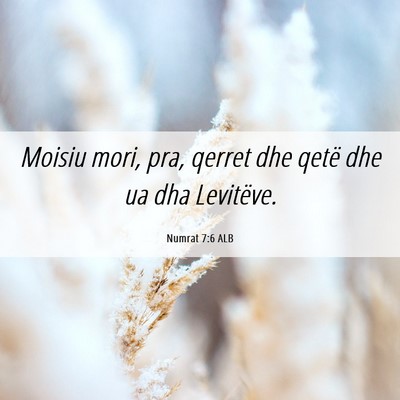 Picture 06 - Numrat 7:6 ALB - Moisiu mori, pra, qerret dhe qetë dhe ua dha - Bible Verse Picture
