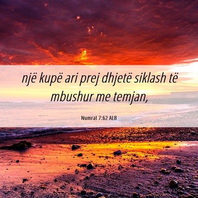 Picture 06 - Numrat 7:62 ALB - një kupë ari prej dhjetë siklash të mbushur - Bible Verse Picture