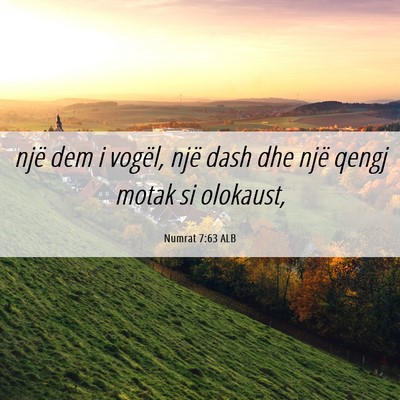 Picture 06 - Numrat 7:63 ALB - një dem i vogël, një dash dhe një qengj motak - Bible Verse Picture