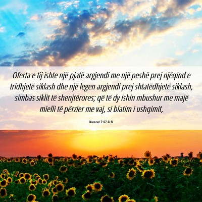 Picture 06 - Numrat 7:67 ALB - Oferta e tij ishte një pjatë argjendi me një - Bible Verse Picture