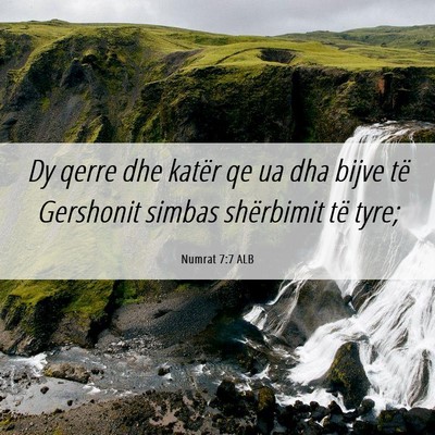 Picture 06 - Numrat 7:7 ALB - Dy qerre dhe katër qe ua dha bijve të Gershonit - Bible Verse Picture