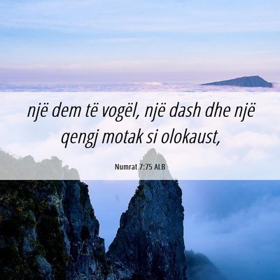 Picture 06 - Numrat 7:75 ALB - një dem të vogël, një dash dhe një qengj - Bible Verse Picture