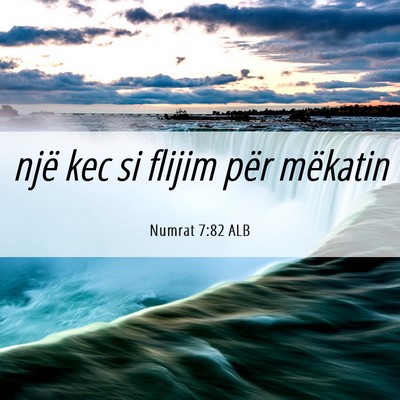Picture 06 - Numrat 7:82 ALB - një kec si flijim për - Bible Verse Picture