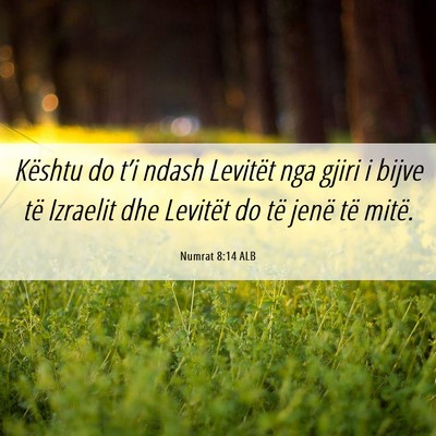 Picture 06 - Numrat 8:14 ALB - Kështu do t’i ndash Levitët nga gjiri i bijve - Bible Verse Picture