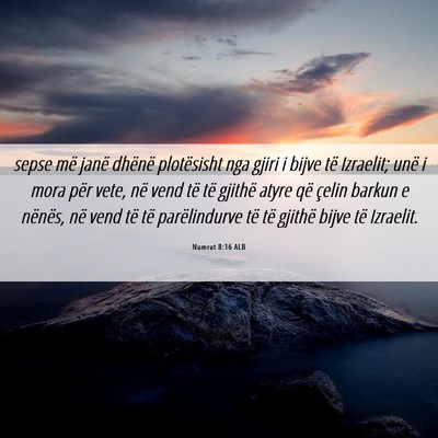 Picture 06 - Numrat 8:16 ALB - sepse më janë dhënë plotësisht nga gjiri i - Bible Verse Picture