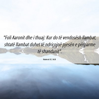 Picture 06 - Numrat 8:2 ALB - 