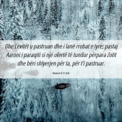 Picture 06 - Numrat 8:21 ALB - Dhe Levitët u pastruan dhe i lanë rrobat e - Bible Verse Picture