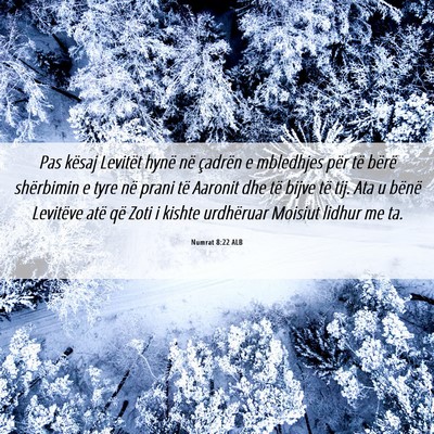 Picture 06 - Numrat 8:22 ALB - Pas kësaj Levitët hynë në çadrën e - Bible Verse Picture