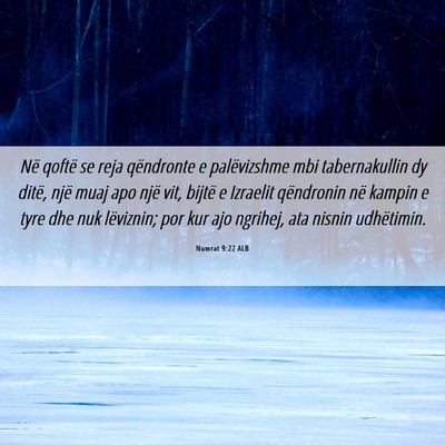 Picture 06 - Numrat 9:22 ALB - Në qoftë se reja qëndronte e palëvizshme mbi - Bible Verse Picture