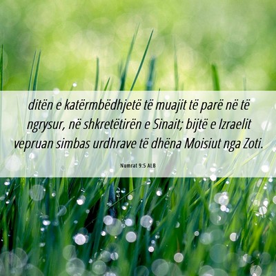 Picture 06 - Numrat 9:5 ALB - ditën e katërmbëdhjetë të muajit të parë - Bible Verse Picture