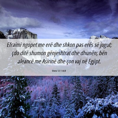 Picture 06 - Osea 12:1 ALB - Efraimi ngopet me erë dhe shkon pas erës së - Bible Verse Picture