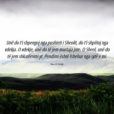 Picture 06 - Osea 13:14 ALB - Unë do t’i shpengoj nga pushteti i Sheolit, do - Bible Verse Picture