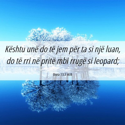 Picture 06 - Osea 13:7 ALB - Kështu unë do të jem për ta si një luan, do - Bible Verse Picture