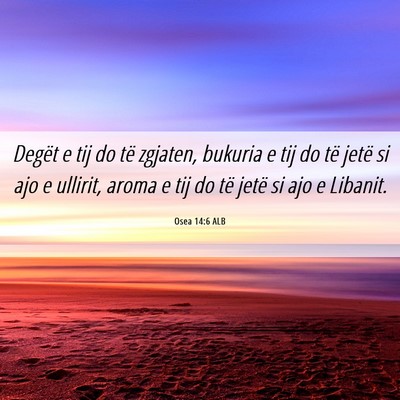 Picture 06 - Osea 14:6 ALB - Degët e tij do të zgjaten, bukuria e tij do të - Bible Verse Picture